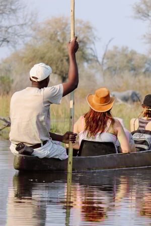 Safari and waterfalls in Botswana and Zambia