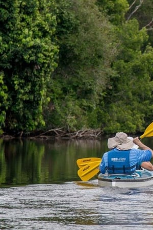Ecuador's natural gems & historic Quito