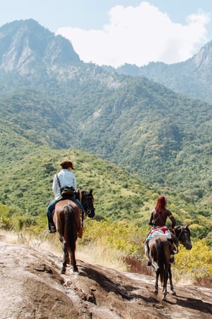 The wilds of northern Kenya
