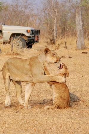 Rugged Zambia with a Lake Malawi beach retreat