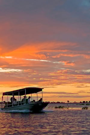 Southern Africa Bush and Beach