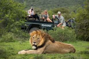 The Eastern Cape proves its safari stripes