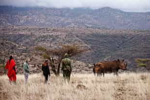 Private safari vs National Park safari