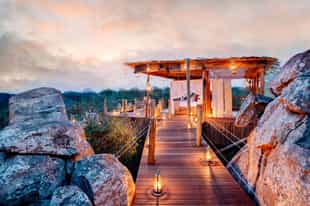 A honeymoon safari in Africa