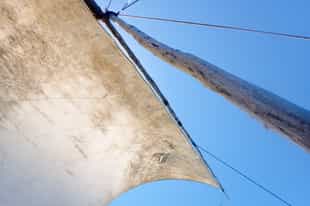 One Day on a Mozambican Dhow Safari