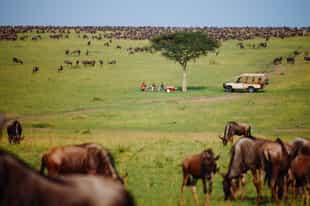 Kenya Safari Guide