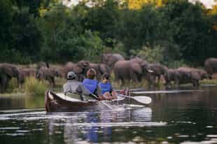 The Top Safari Destinations in Africa