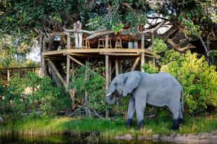 8 lodges where animals roam free