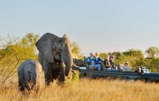 Top Safari Destinations to see the Big Five