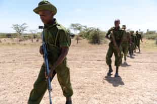 The Rangers Behind the Wildlife Sightings