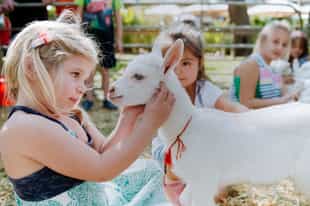 Family activities in the Cape Winelands