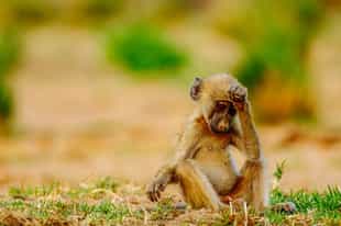 Hard to Pronounce Destinations