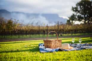 The best picnic spots in Cape Town