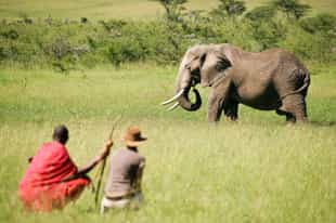 Top 5 Kenya walking safaris