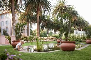 Top family friendly hotels in Cape Town