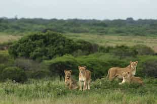 South Africa Country Guide