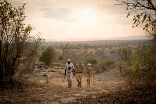 The 10 Best Things to Do in Tanzania