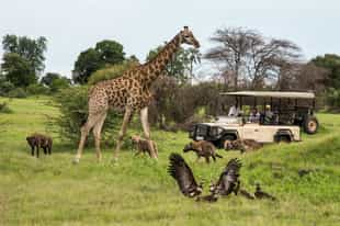 Top Botswana Travel Tips