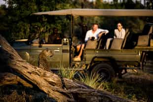 Things to do in Botswana