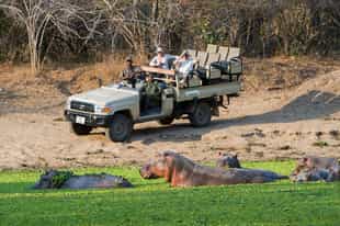 How to plan an affordable Zambia safari