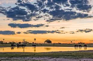 How to plan an affordable Zimbabwe safari