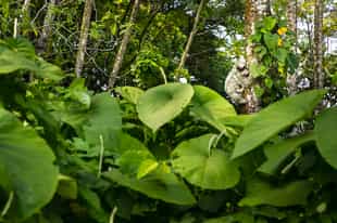 Best time to visit Costa Rica