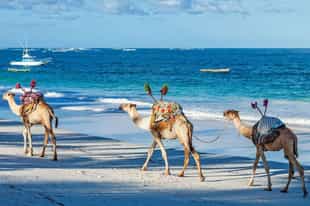 Bookend your safari with a stay on the Kenya Coast