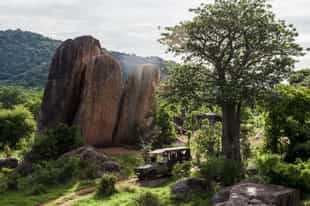 Discover Southern Tanzania’s Safari Secrets Off the Beaten Path