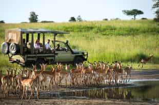 How to plan the perfect Tanzania safari