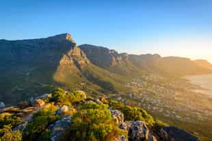 From City to Safari: Planning the Perfect Cape Town to Kruger Adventure