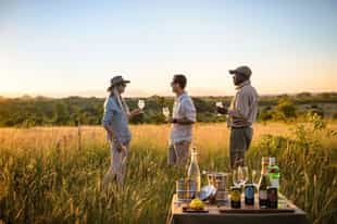 From Safari to Shiraz: Pairing Kruger with the Winelands
