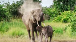 Jonty explores Zambia & Malawi