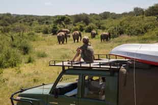 Safari for families: how to choose a kid-friendly African safari that works