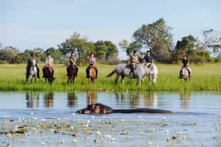 Why the shoulder season is a hidden-gem time for safaris in Botswana