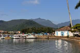 Join Carola in Brazil