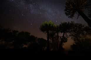 Enjoy stargazing in the clarity of central Kruger