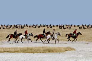 Explore the Makadikgadi Pans on horseback