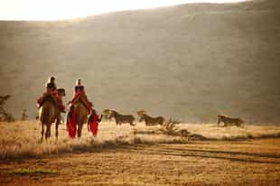 Explore the plains on a camel safari in Lewa Downs