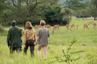 Explore the bush on a nature walk in Lake Mburo