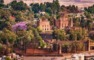 Explore the castles and churches of Gondar