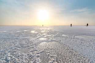 Explore the Danakil Depression on a mobile safari