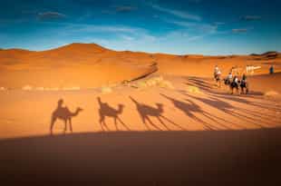 Journey through Erg Chebbi desert on camel back