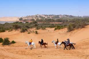 Go horse riding along the beach of Essaouira