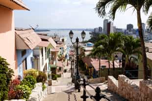 Take a city tour of Guayaquil 