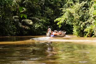 Explore the Amazon on a boat excursion