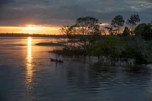 Take a sunset cruise along the Amazon