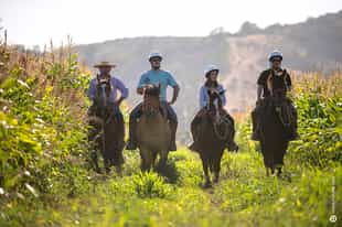 Ride through the Wine Valleys on horseback
