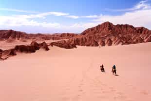 Go on horseback safari through the Atacama Desert