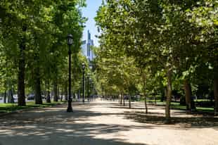 Walk along the paths of Forestal Park, Santiago