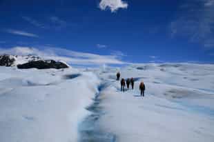 Clip on your crampons to hike the Grey Glacier